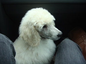 20090710_10.jpg