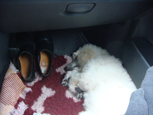 20090710_12.jpg